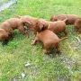 Bei dem schönen Wetter ist alles interessant