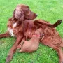 Jetzt hab ich mal meine Mama für mich ganz alleine...))
