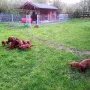 Ganz schön munter mit 5 Wochen
