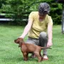 Ich bin Frau rot