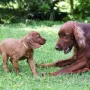 Mama ist auch mal frech zu mir