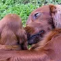 Mama und Kind