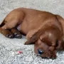 Müde.....