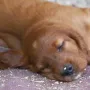 Und ich fühle mich wunderbar.