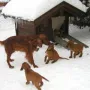 Spass im Schnee mit der Mama
