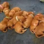 Unser 2. Lebenstag hat gerade begonnen