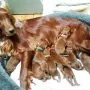 Tag 4..und bei Mama ist es am schönsten