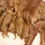 Alle haben wir Hunger...
