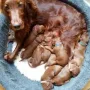 10 Tage und unsere Mama ist so lieb