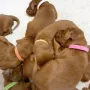 Tag 11 und kuscheln ist einfach schön