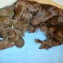 13 Tage sind wir alt und Mama ist die Beste