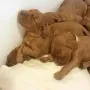 Wir gehören zusammen