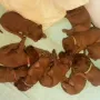 Unsere Kids sind heute 3 Wochen alt