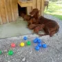 Beste Mama der Welt...