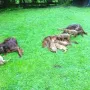 Wir sind 6 Wochen und total aktiv