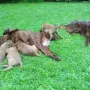 Mama und Tanten sind sehr besorgt um uns