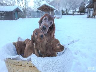 Kathy unsere liebevolle Mama