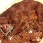 Unsere liebste Mama