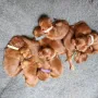 Kuscheln ist so schön