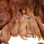 Heute sind wir 9 Tage alt