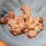 Heute sind wir 2 Wochen alt