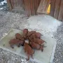 Die erste Mahlzeit in unserem Schloss
