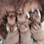 Mamas Milch ist doch die beste