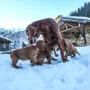 Bei Mama Kathy 