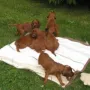 gemeinsames ausruhen mit 3 Wochen