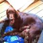 Mama TOP Una und Kids nach der ersten Nacht topfit
