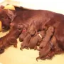 Mit Mama schnuggeln...das ist schön