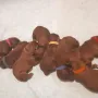 Unser 3. Lebenstag beginnt