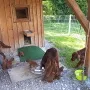 Probewohnen in unserem Schloss