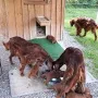 Bei diesem herrlichen Wetter, und alle Tanten sind dabei