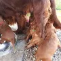 Mama macht unsere Schüssel leer