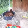 Unser Schloss haben wir schon erkundet