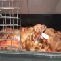 Auf geht´s zu unserem Tierarzt Pohl