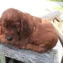 Und ich mache Probesitzen