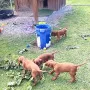 7 Wochen und sehr aktiv