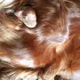 Bei Mama ist es schön warm