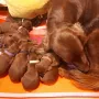 Tag5 mit Mama