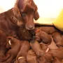 15 Tage und bei Mama ist es am schönsten