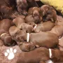 17 Tage, wir schlafen noch viel