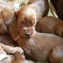 18 Tage und unsere Äuglein sind auf
