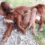 Mit 4 Wochen haben wir unser Schloss besucht