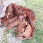 Unsere liebe Mama ist rührend zu uns