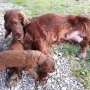Das ist schön mit Mama