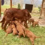 Mama besucht uns