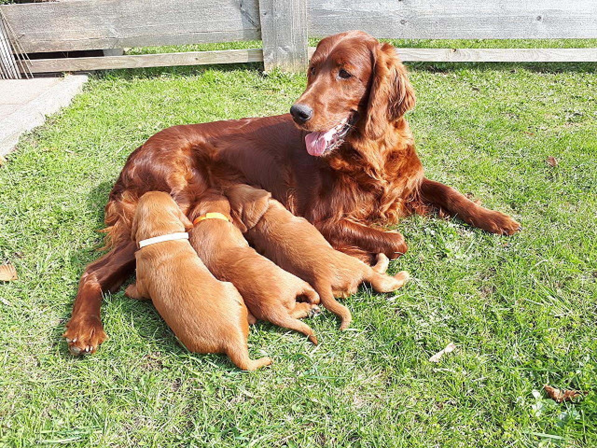 2,5 Wochen und der erste Besuch im Garten