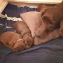 6 Tage alt und von Mama behütet